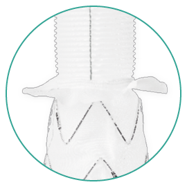 Neo-EDE_Collar_Straight_close-up_270x270