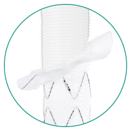 Neo EDE_Collar_Angled_close-up_270x270