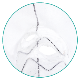 Neo EDE_Inner-branch_close-up2_270x270